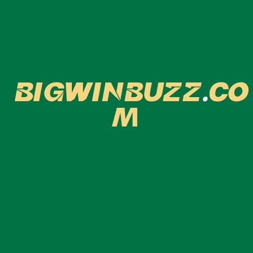 Logo da BIGWINBUZZ